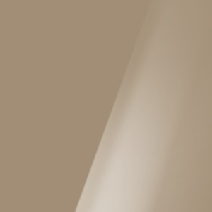 Tortora-RAL-1019-Lucido